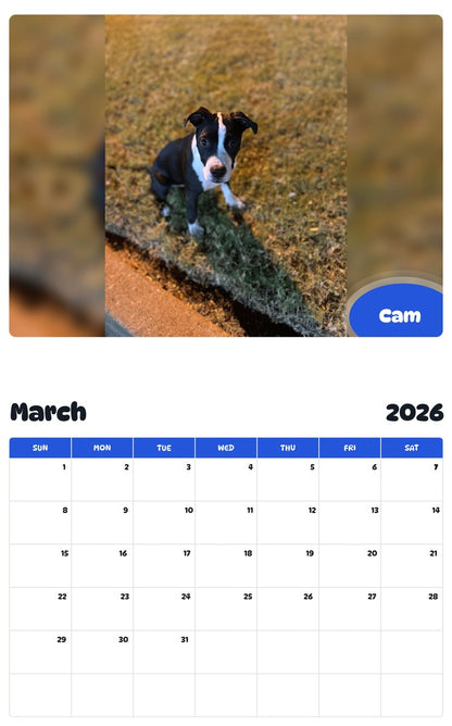 November 2025 - October 2026 Cam - Pawidols Pet Calendar