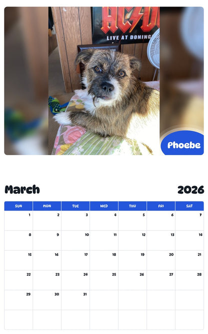 November 2025 - October 2026 Phoebe - Pawidols Pet Calendar