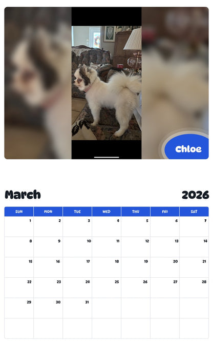 November 2025 - October 2026 Chloe - Pawidols Pet Calendar