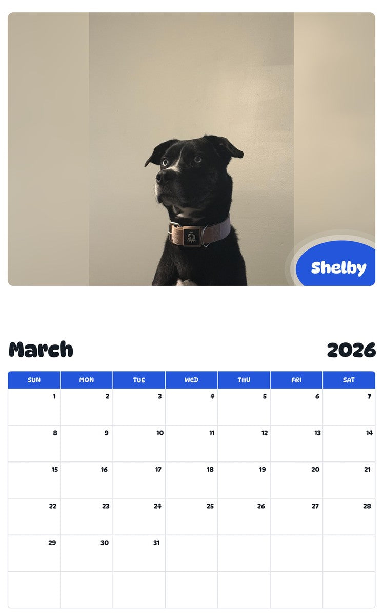 November 2025 - October 2026 Shelby - Pawidols Pet Calendar