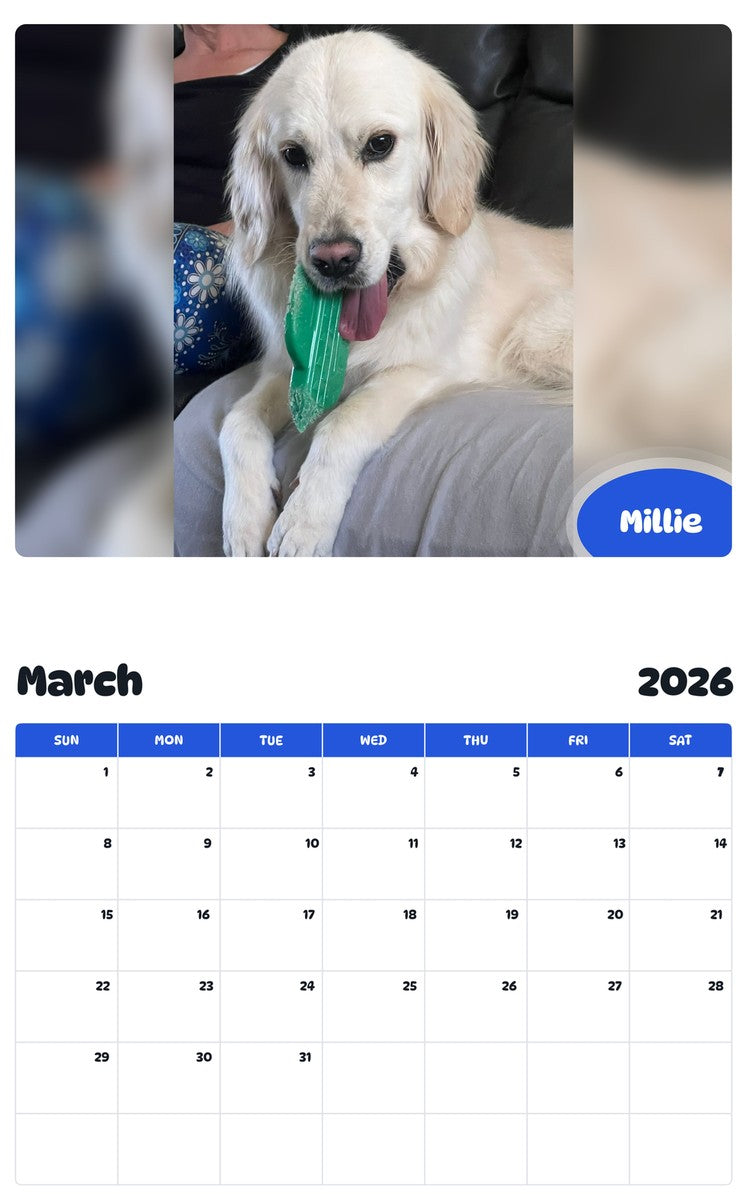 November 2025 - October 2026 Millie - Pawidols Pet Calendar