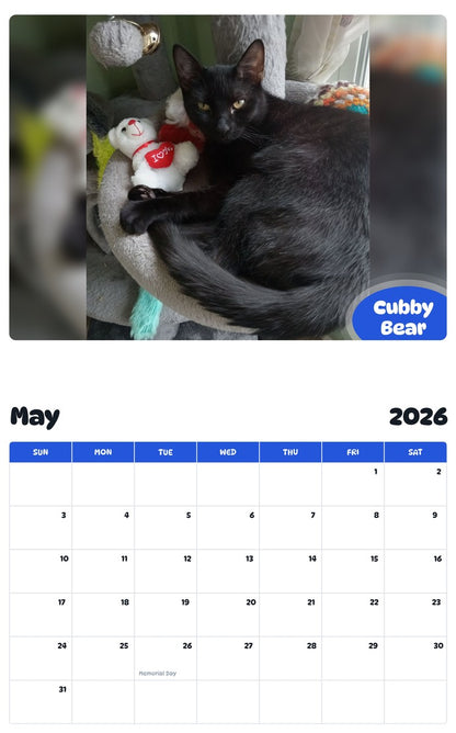 2026 - 2027 Cubby Bear - Pawidols Pet Calendar