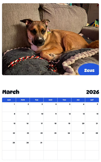 November 2025 - October 2026 Zeus - Pawidols Pet Calendar