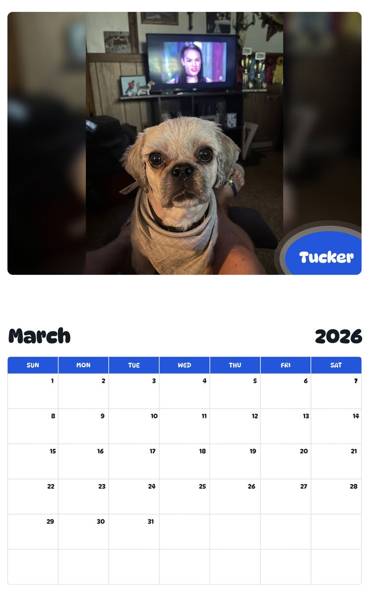 November 2025 - October 2026 Tucker - Pawidols Pet Calendar
