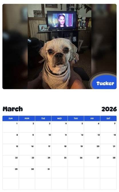 November 2025 - October 2026 Tucker - Pawidols Pet Calendar