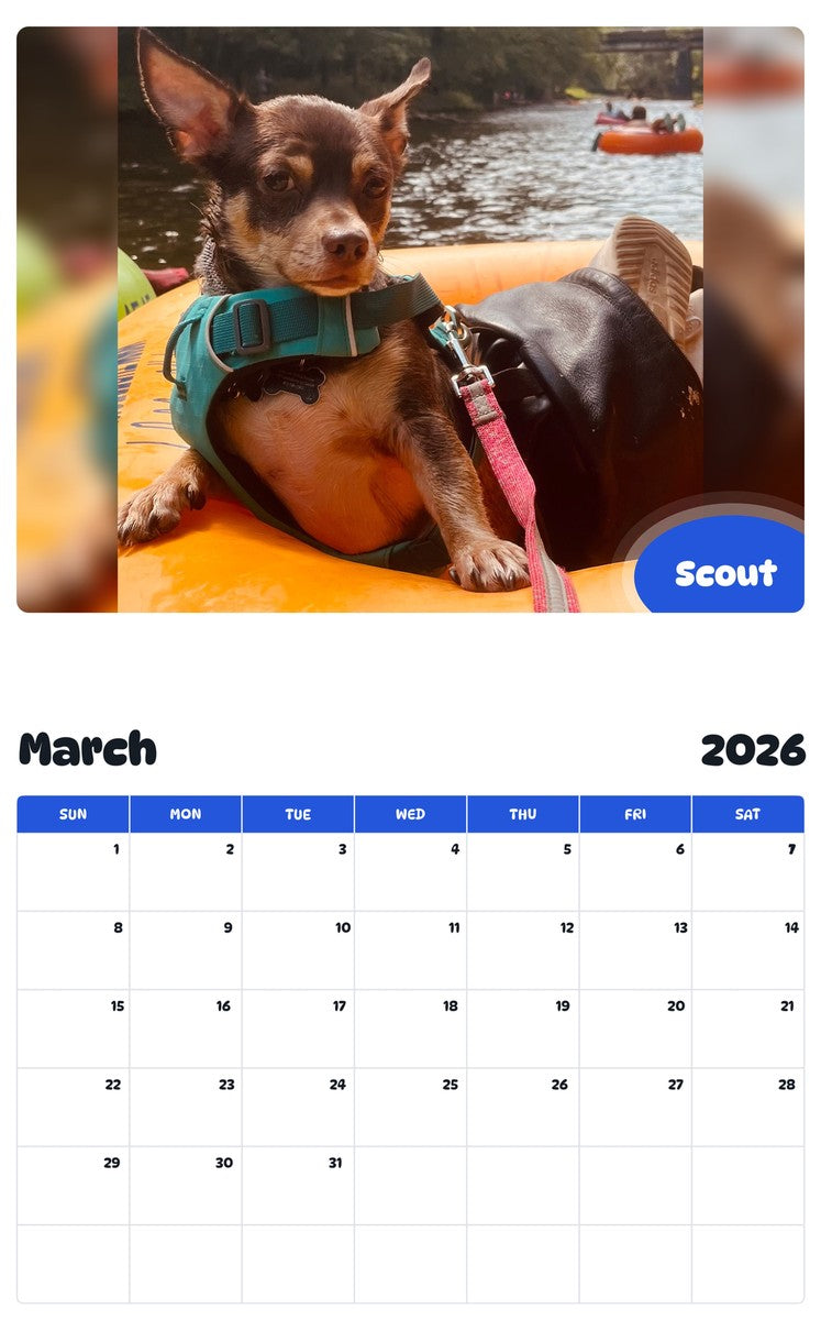 November 2025 - October 2026 Scout - Pawidols Pet Calendar