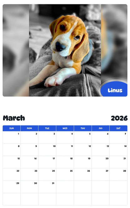 November 2025 - October 2026 Linus - Pawidols Pet Calendar