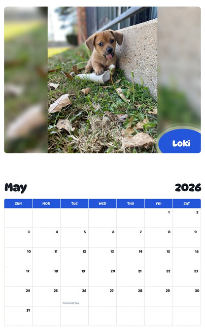 2026 - 2027 Loki - Pawidols Pet Calendar