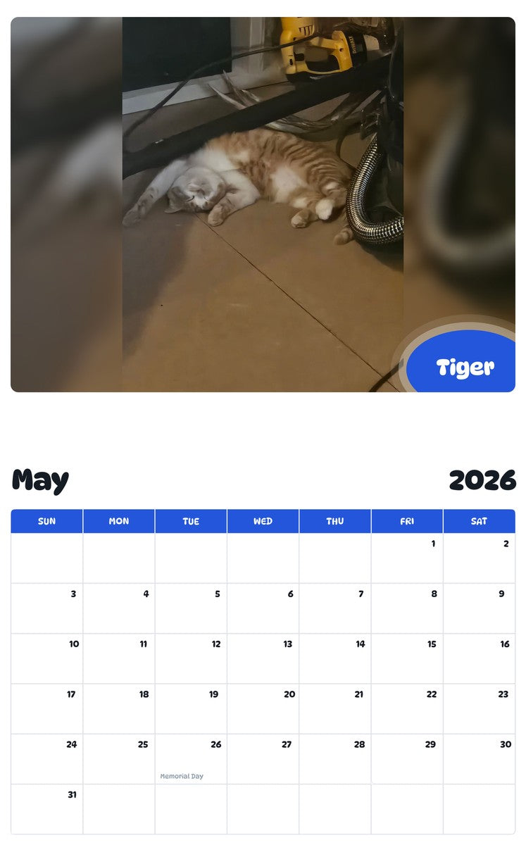 2026 - 2027 Tiger - Pawidols Pet Calendar
