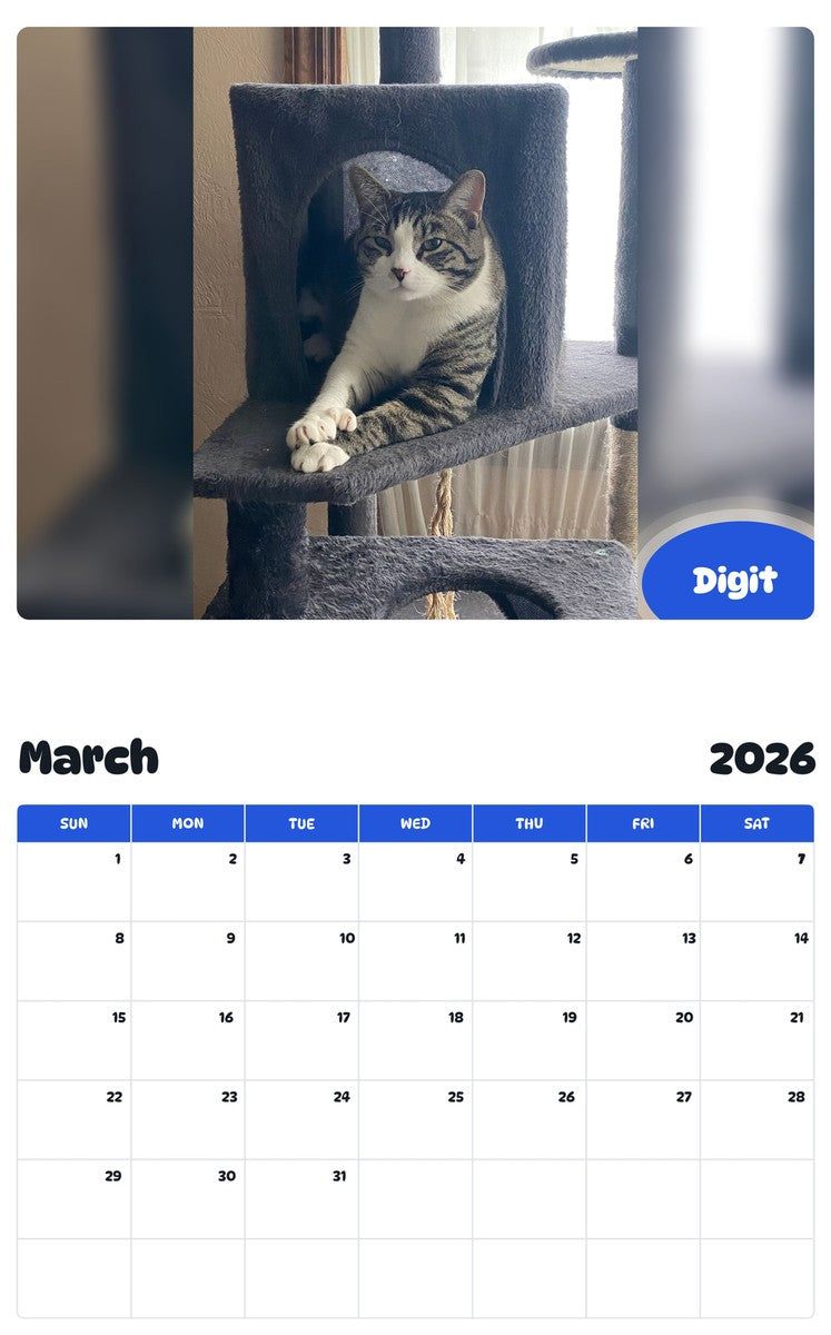 November 2025 - October 2026 Digit - Pawidols Pet Calendar