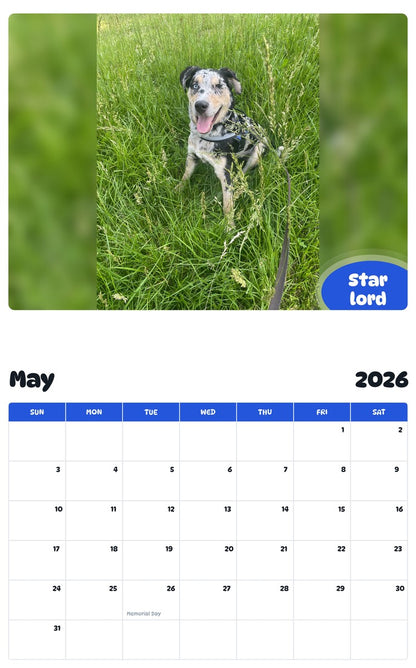 2026 - 2027 Star lord - Pawidols Pet Calendar