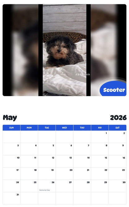 2026 - 2027 Scooter - Pawidols Pet Calendar