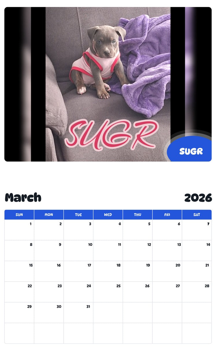 November 2025 - October 2026 SUGR - Pawidols Pet Calendar