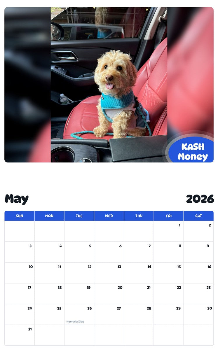 2026 - 2027 KASH Money - Pawidols Pet Calendar