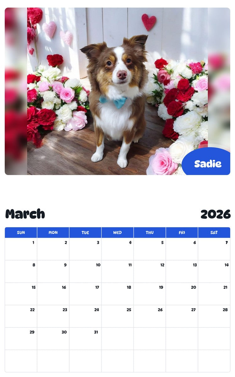 November 2025 - October 2026 Sadie - Pawidols Pet Calendar