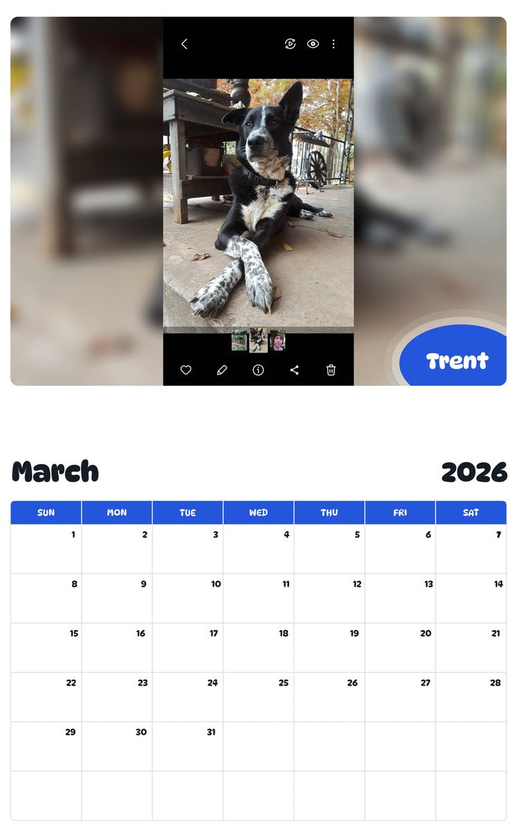 November 2025 - October 2026 Trent - Pawidols Pet Calendar