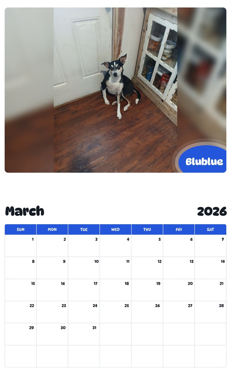 November 2025 - October 2026 Blublue - Pawidols Pet Calendar