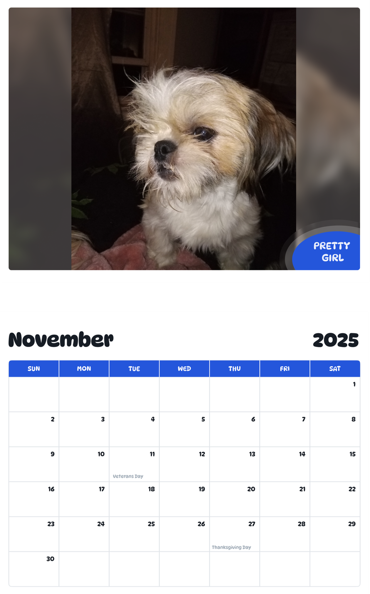 July 2025 - June 2026 Pretty girl - Pawidols Pet Calendar