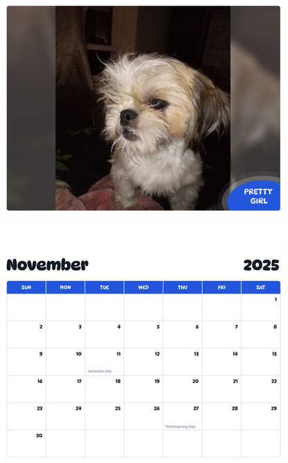 July 2025 - June 2026 Pretty girl - Pawidols Pet Calendar