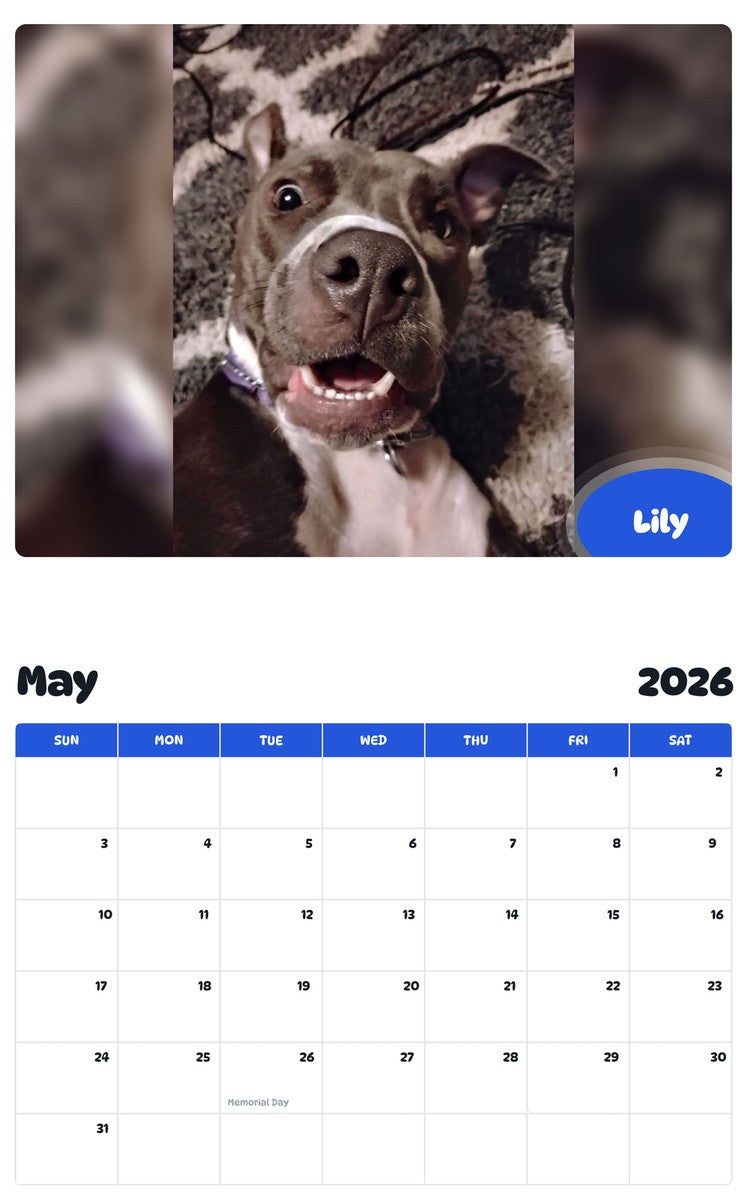 2026 - 2027 Lily - Pawidols Pet Calendar