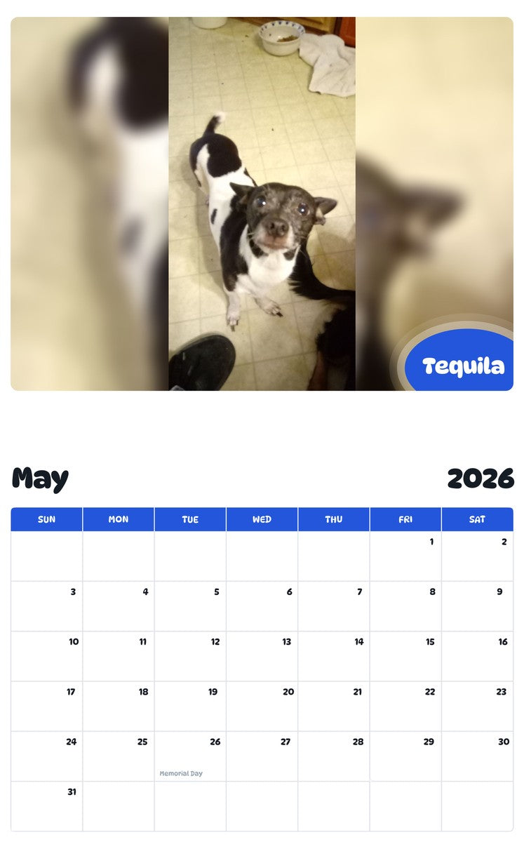2026 - 2027 Tequila - Pawidols Pet Calendar