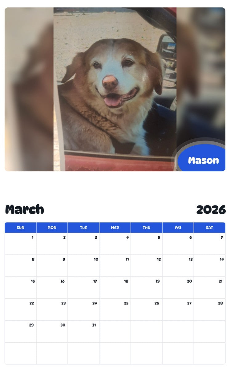 November 2025 - October 2026 Mason - Pawidols Pet Calendar