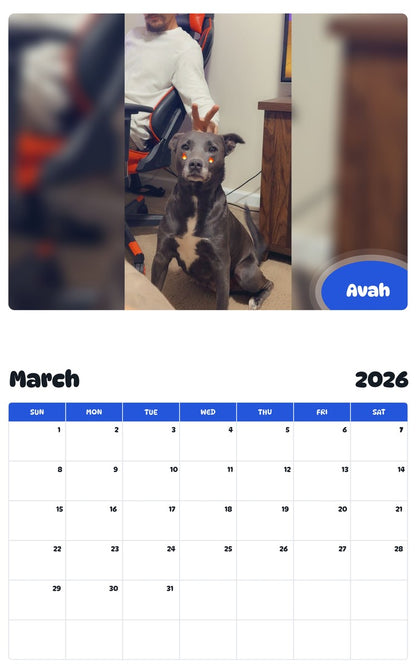 November 2025 - October 2026 Avah - Pawidols Pet Calendar