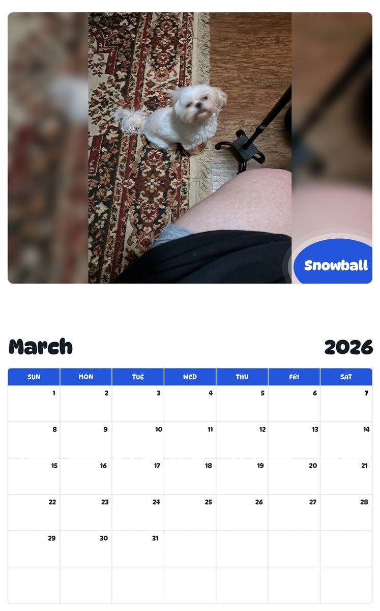 November 2025 - October 2026 Snowball - Pawidols Pet Calendar
