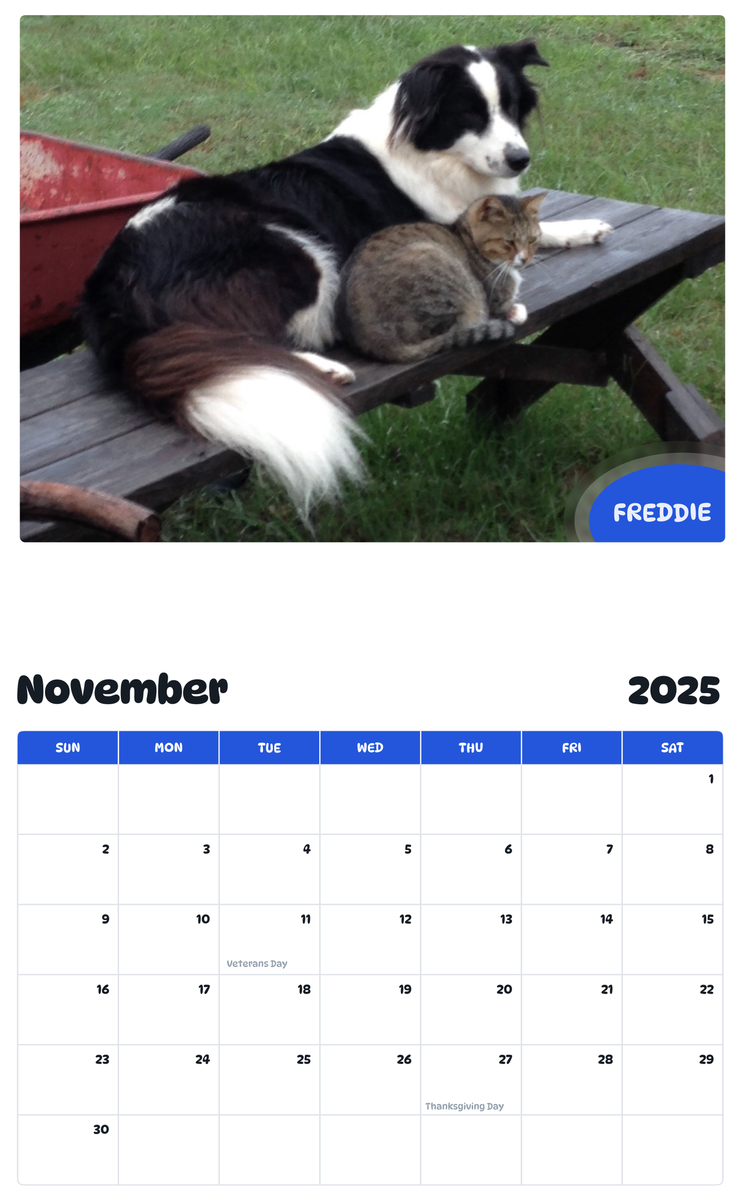 July 2025 - June 2026 Freddie - Pawidols Pet Calendar