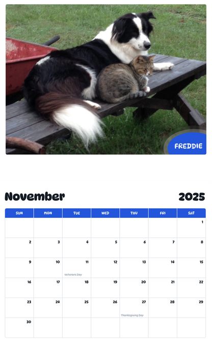 July 2025 - June 2026 Freddie - Pawidols Pet Calendar