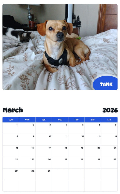 November 2025 - October 2026 TANK - Pawidols Pet Calendar