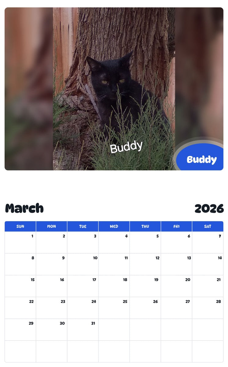 November 2025 - October 2026 Buddy - Pawidols Pet Calendar