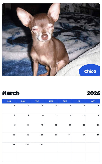 November 2025 - October 2026 Chico - Pawidols Pet Calendar
