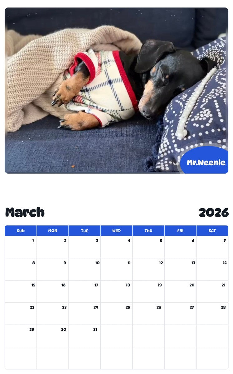 November 2025 - October 2026 Mr.Weenie - Pawidols Pet Calendar