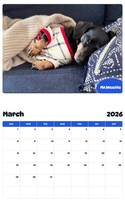 November 2025 - October 2026 Mr.Weenie - Pawidols Pet Calendar