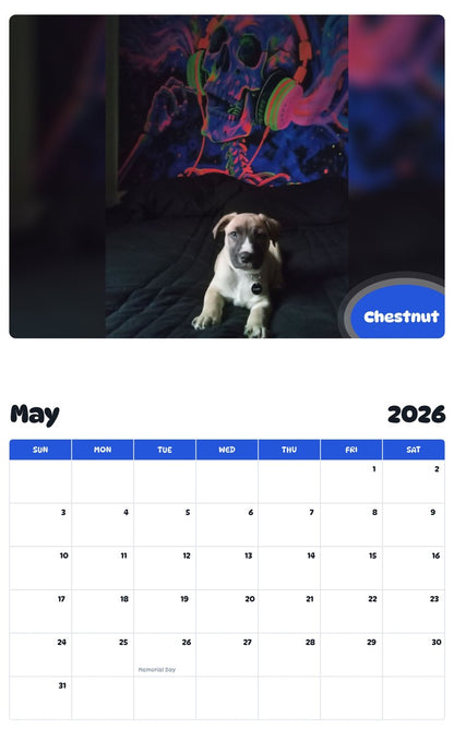 2026 - 2027 Chestnut - Pawidols Pet Calendar