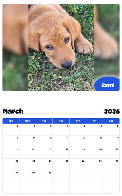 November 2025 - October 2026 Remi - Pawidols Pet Calendar
