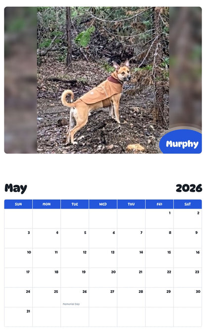 2026 - 2027 Murphy - Pawidols Pet Calendar