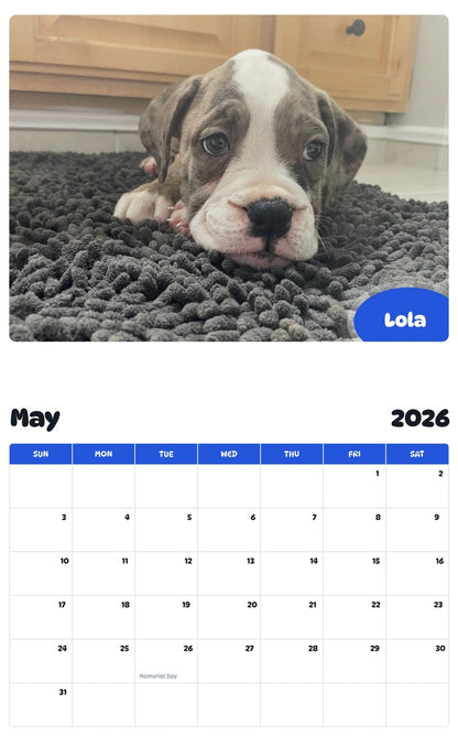 2026 - 2027 Lola - Pawidols Pet Calendar