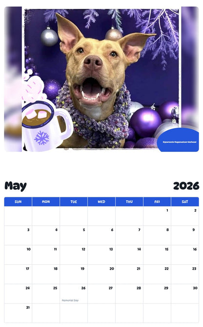 2026 - 2027 Hypersonic Meganuclear Warhead - Pawidols Pet Calendar