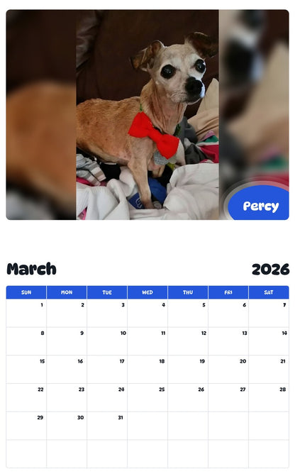 November 2025 - October 2026 Percy - Pawidols Pet Calendar
