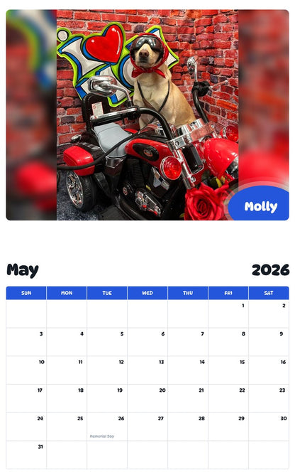 2026 - 2027 Molly - Pawidols Pet Calendar