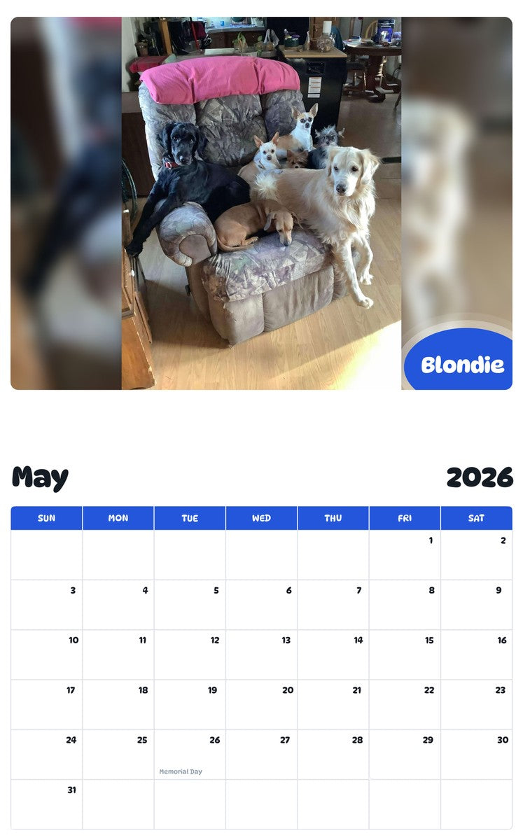 2026 - 2027 Blondie - Pawidols Pet Calendar