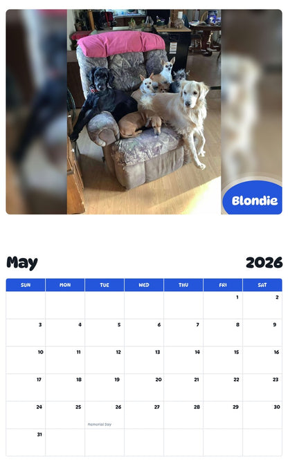 2026 - 2027 Blondie - Pawidols Pet Calendar