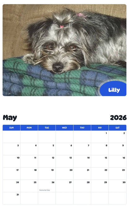 2026 - 2027 Lilly - Pawidols Pet Calendar