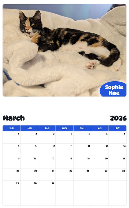 November 2025 - October 2026 Sophie Mae - Pawidols Pet Calendar