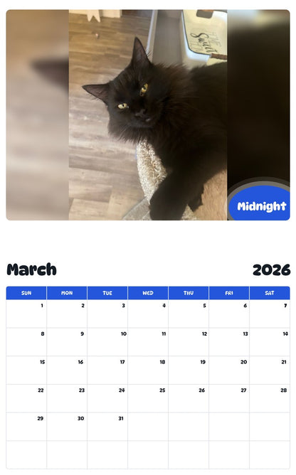 November 2025 - October 2026 Midnight - Pawidols Pet Calendar