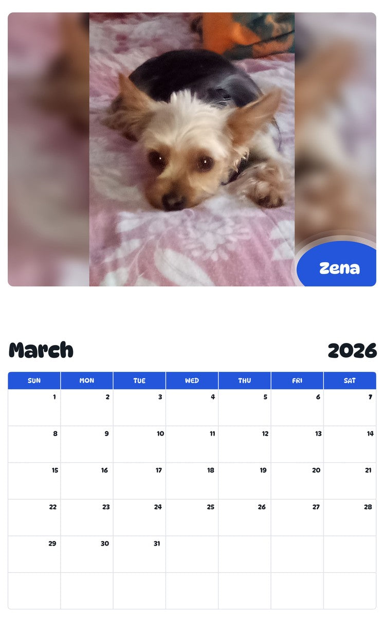 November 2025 - October 2026 Zena - Pawidols Pet Calendar