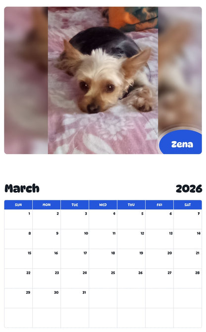 November 2025 - October 2026 Zena - Pawidols Pet Calendar