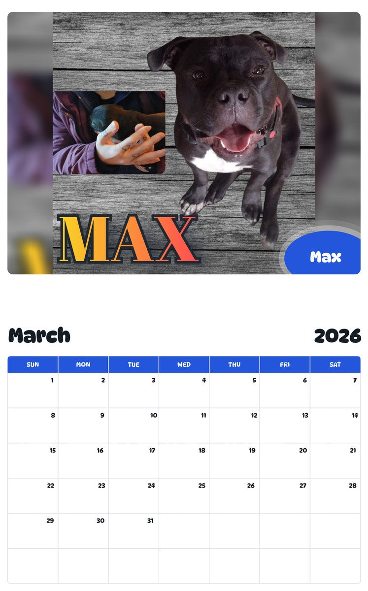 November 2025 - October 2026 Max - Pawidols Pet Calendar